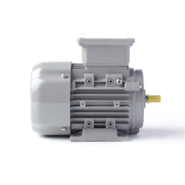 德國(guó)AC MOTOREN三相異步雙速電機(jī)AC18L4600001